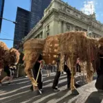 a-herd-of-life-sized-buffalo-puppets-migrates-through-lower-manhattan-in-historic-procession