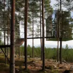 architectural-innovation-and-contemporary-design-take-center-stage-in-upcoming-global-exhibitions