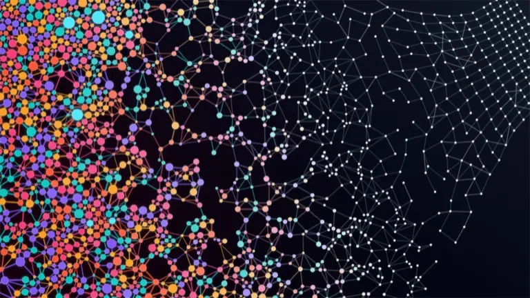 beyond-uniformity-why-disorder-and-diversity-are-the-secret-ingredients-to-system-stability