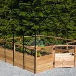 cultivating-curiosity-how-school-gardens-transform-classrooms-through-hands-on-learning