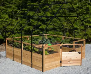 cultivating-curiosity-how-school-gardens-transform-classrooms-through-hands-on-learning