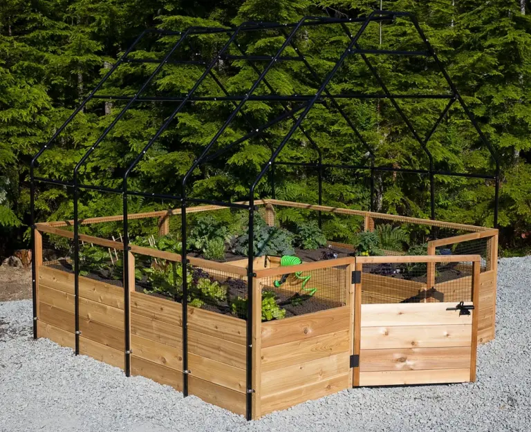 cultivating-curiosity-how-school-gardens-transform-classrooms-through-hands-on-learning