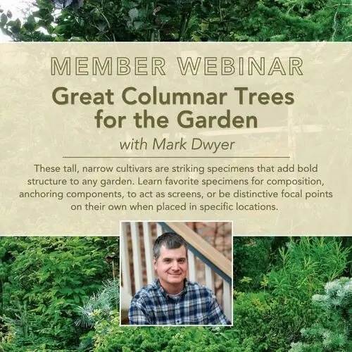december-webinar-great-columnar-trees-for-the-garden
