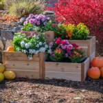 extending-the-harvest-how-gardeners-are-transforming-fall-into-a-season-of-renewed-growth