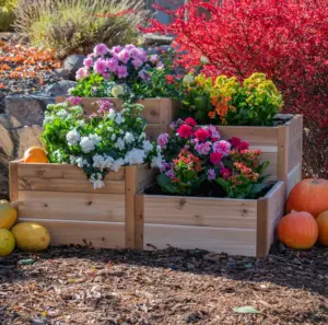 extending-the-harvest-how-gardeners-are-transforming-fall-into-a-season-of-renewed-growth