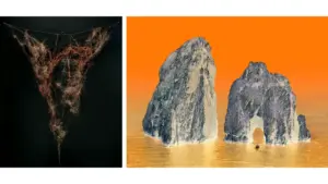 from-damien-hirst-parodies-to-museum-controversies-a-look-inside-the-latest-art-world-developments