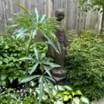 mastering-the-shade-part-two-of-claires-minneapolis-side-yard-transformation