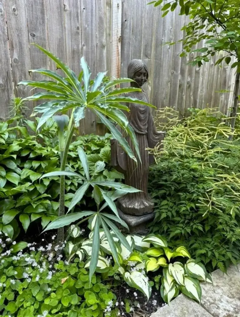 mastering-the-shade-part-two-of-claires-minneapolis-side-yard-transformation