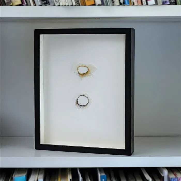 the-tactile-shift-why-collectors-are-abandoning-digital-flattening-for-physical-handcraft-in-2026