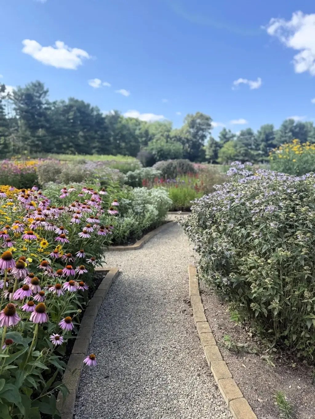 visiting-lynn-oshaughnessys-circle-garden-in-michigan-a-masterclass-in-native-plant-design