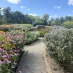 visiting-lynn-oshaughnessys-circle-garden-in-michigan-a-masterclass-in-native-plant-design