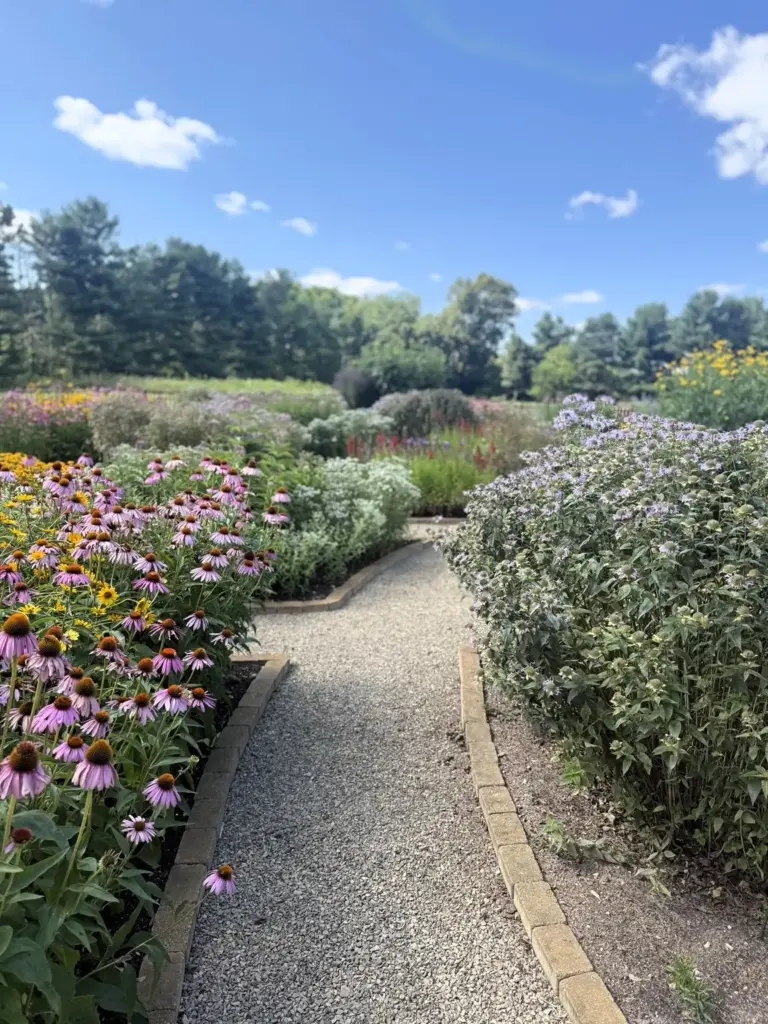 visiting-lynn-oshaughnessys-circle-garden-in-michigan-a-masterclass-in-native-plant-design