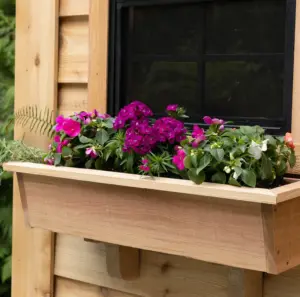 why-wood-choice-matters-how-western-red-cedar-outlasts-decay-in-outdoor-structures