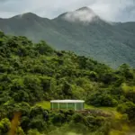 at-twenty-inhotim-faces-its-most-decisive-transition-as-founder-builds-next-door