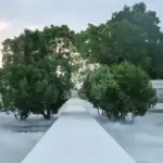 bureau-betak-transforms-the-jardin-des-tuileries-into-a-mist-filled-oasis-for-diors-summer-2027-show